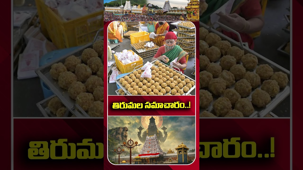 తిరుమల సమాచారం Tirupati Balaji Latest Information | Tirumala Update#ttd #thirumala #thirupathi